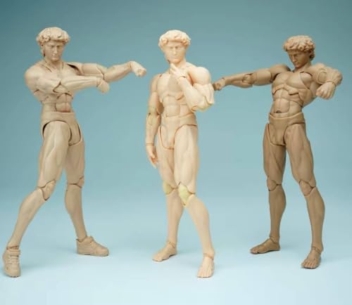 [Tbmodel] Chiye Studio1/12 フィギュア 超可動 男性 デビッド 素体 ヘッド フルセット コスプレ アクション (小麦色)