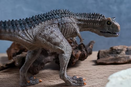 SanDoll恐竜 フィギュア リアル 模型 ジュラ紀 30㎝級 爬虫類 迫力 肉食 子供玩具 プレゼント ディスプレイ 返品安心保障付き (カルノタウルス)