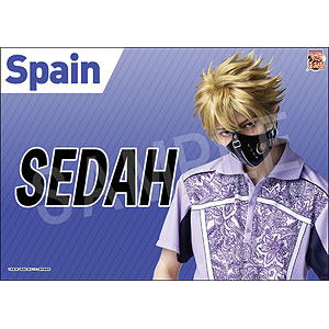 ミュージカル『新テニスの王子様』 垂れ幕 セダ