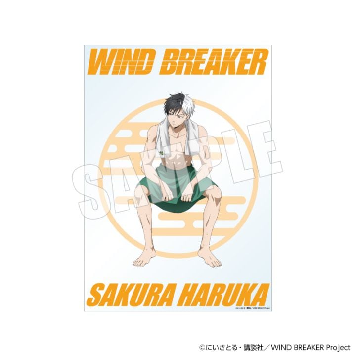 「2月上旬頃以降発送」WIND BREAKER お風呂ポスター 桜遥