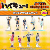 ハイキュー!! ビッグアクリルスタンド【描き下ろし】（全９種）【26年2月お届け】