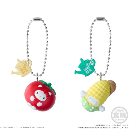 サンリオキャラクターズ ベジタブルビスケット＆チャーム 10個 BOX 食玩