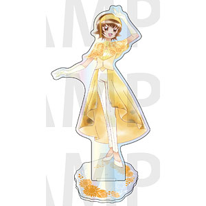 『ハートキャッチプリキュア！』オーロラアクリルスタンド 明堂院いつき
