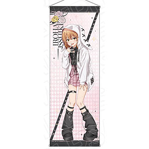 TVアニメ「やはり俺の青春ラブコメはまちがっている。完」 特大タペストリー 一色いろは サブカルファッション ver.