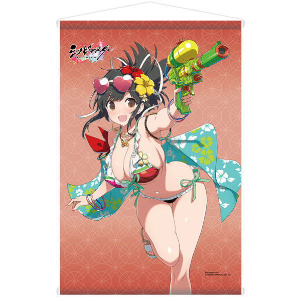 【限定販売】シノビマスター 閃乱カグラ NEW LINK 飛鳥 画集描き下ろし水着Ver. B2タペストリー