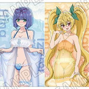 TVアニメ「ニートくノ一となぜか同棲はじめました」 描き下ろしクリアファイルセットB