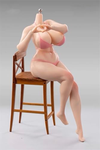1/6スケール 女素体 豊満 連足タイプ プラチナシリコン 塗装済可動フィギュア シームレス 素体 鋼骨格 フル可動 DK001B プレゼント 女性アクションドールボディ ヘッド無 PAWPAWDOLL (粉白肌) [並行輸入品]