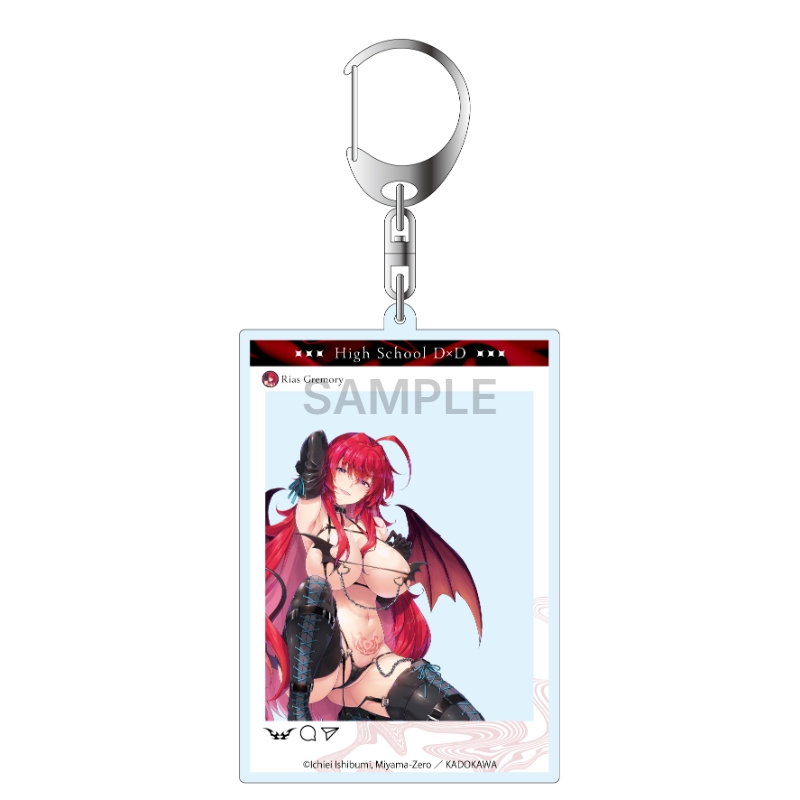ハイスクールD×D SNS風アクリルキーホルダー リアス・グレモリー サキュバス&シスター ver.【催事商品】