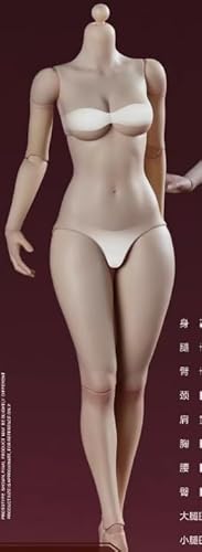 [AC]B&I BI-F001 1/6 女性素体 ベーシック版（ミドルバスト付属）Aタイプ 暖陽肌 可動 アクションフィギュア 素体