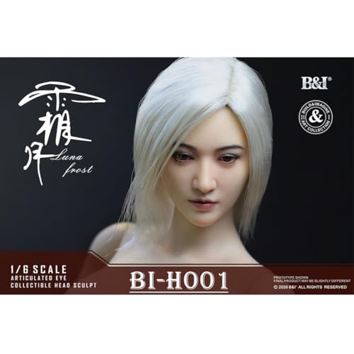 HiPlay B&I 1/6 可動女性素体 高級素体 BI-F001-A & 霜月 ヘッド BI-H001A セット 暖色肌 ボディ フィギュア 超可動