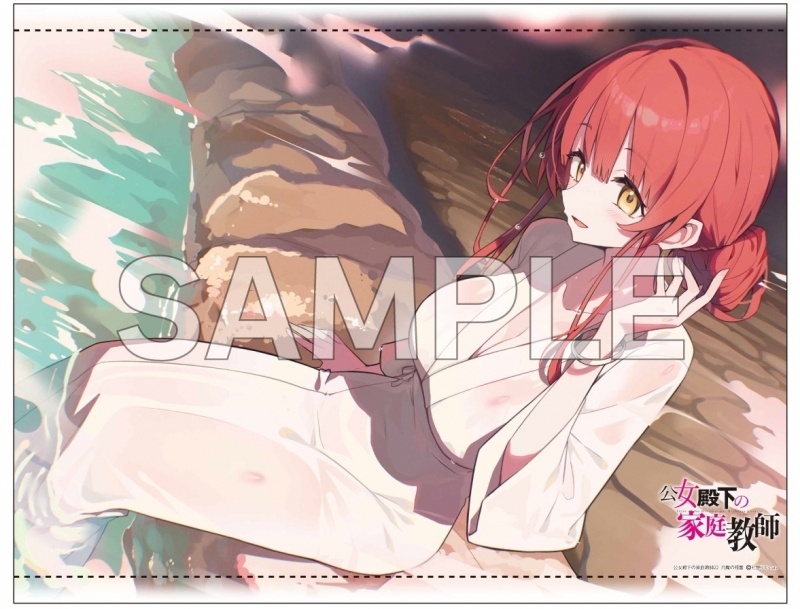 公女殿下の家庭教師(22) 月魔の残響 ゲーマーズ限定版【オリジナルB2タペストリー付】【二次生産分】