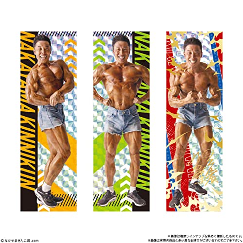 なかやまきんに君 たんぱく質入りチョコBAAAAR (10個入) 食玩・準チョコレート (なかやまきんに君)