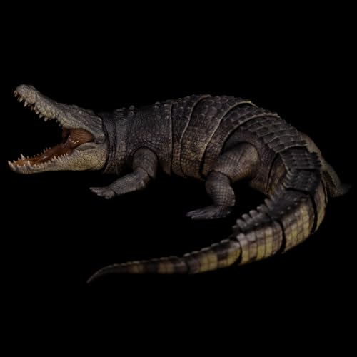 Nanmu 本心楠改 イリエワニ フィギュア ワニ目クロコダイル科 クロコダイル属 関節可動 可動式 35CM級 動物 リアル PVC+POM プラモデル おもちゃ 模型 置物 完成品 情景セット (170004 グリーン) [並行輸入品]
