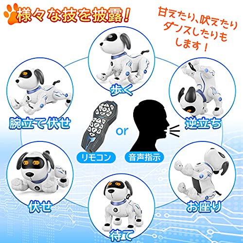 ロボットプラザ(ROBOT PLAZA) ロボット犬 子供向け おもちゃ 知育玩具 ペット 簡易プログラミング 誕生日プレゼント 男の子