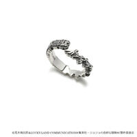 【JAM HOME MADEコラボ】ジョジョの奇妙な冒険　スターダストクルセイダース ラストファイトリング【4月お届け】