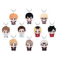 ちびぐるみお写真キーホルダー【ハイキュー!!】コンプリートセット