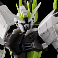 RG 1/144 フリーダムガンダム -APEX LEGENDS(TM) クリプト Ver.-