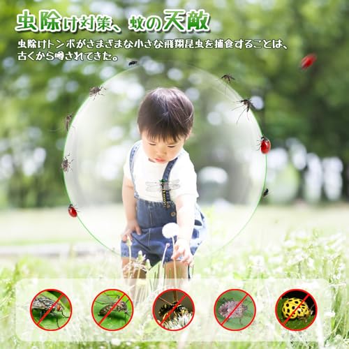 [FOCHIER F] オニャンマプロ 虫除け トンボ 正規品 本物とほぼ同じ 昆虫動物トンボペンダントPVC携帯電話ペンダント携帯電話装飾釣りバルコニースクリーン登山渓流釣りキャンプ屋外屋内装飾 10pc