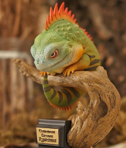 博物志 トカゲ物語 レッドアイアガマ グリーンイグアナ アルマジロトカゲ グリーンバシリスク フトアゴヒゲトカゲ アリソンアノール 台座付き 爬虫綱 12cm リアル フィギュア プラモデル 模型 オリジナル スタチュー コレクション 情景 プレゼント 装飾 撮影道具 インテリア 置物 (グリーンイグアナ)