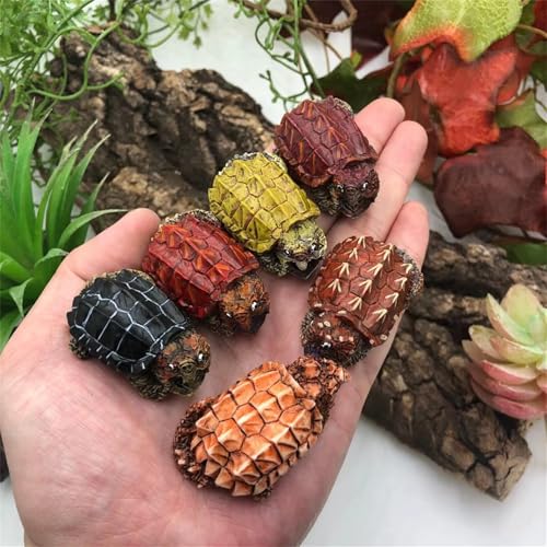 博物志 オオワニガメ フィギュア 6点セット 限定品 樹脂製 リアル プラモデル 模型 コレクション 贈り物 情景セット 撮影道具 置物