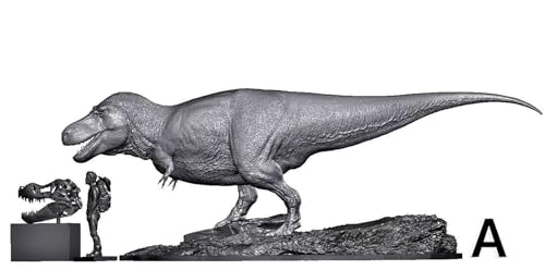 ティラノサウルス FMNH PR2081 獣脚類 恐竜 リアル フィギュア 3スケール展開 白亜紀末期 情景セット 樹脂 プラモデル 模型 スタチュー 台座付き (A 1/18未塗装) [並行輸入品]