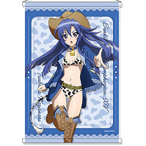 戦姫絶唱シンフォギアXV 描き下ろし B2タペストリー 風鳴翼 カウガールver.