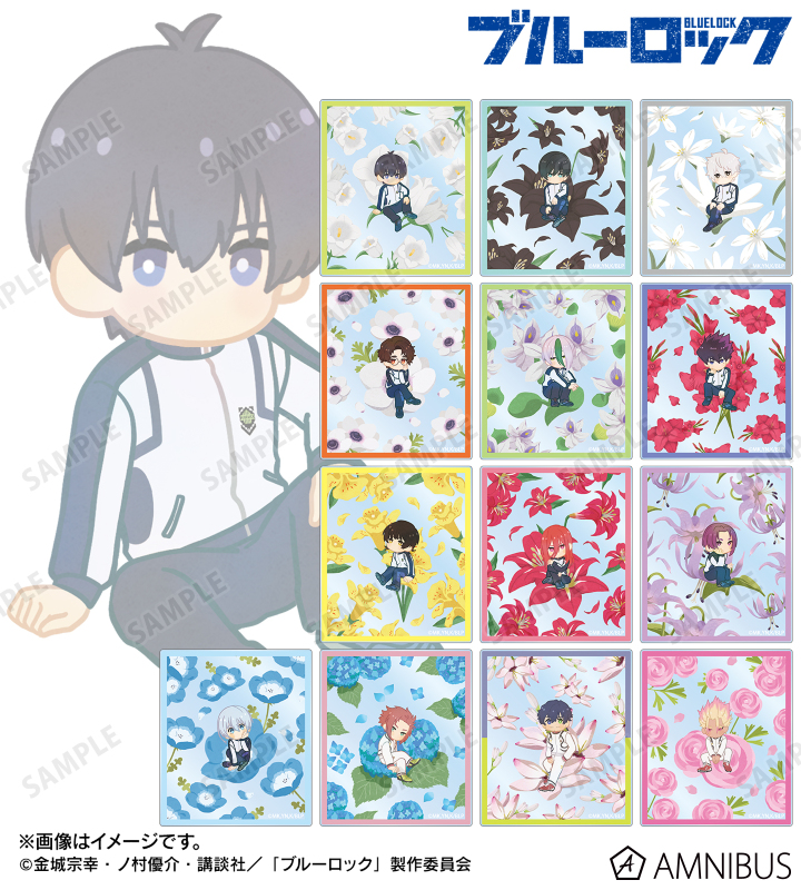 トレーディング Botania 第2弾 アクリルカード