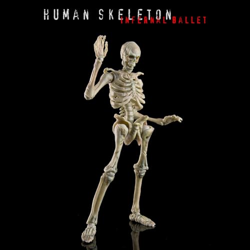 HiPlay 玩朝 KEEPGOING 1/12 生物の授業 人体骨格 ホワイト 可動フィギュア 塗装済み 完成品