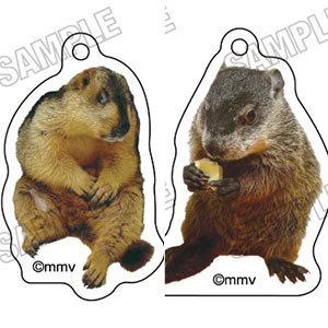 マーモットカフェ「マーモット村」 めじるしチャームコレクション 6個入りBOX