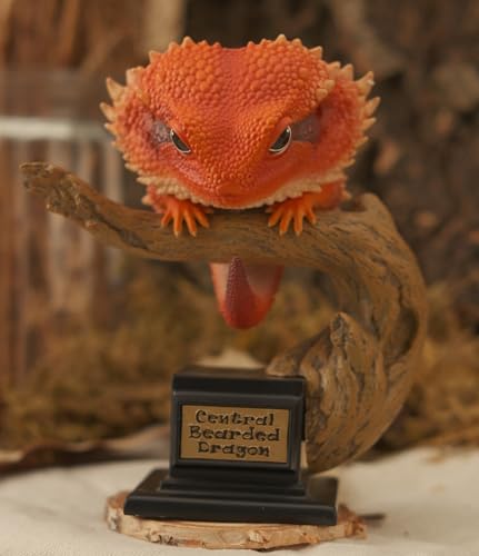 博物志 トカゲ物語 レッドアイアガマ グリーンイグアナ アルマジロトカゲ グリーンバシリスク フトアゴヒゲトカゲ アリソンアノール 台座付き 爬虫綱 12cm リアル フィギュア プラモデル 模型 オリジナル スタチュー コレクション 情景 プレゼント 装飾 撮影道具 インテリア 置物 (フトアゴヒゲトカゲ)