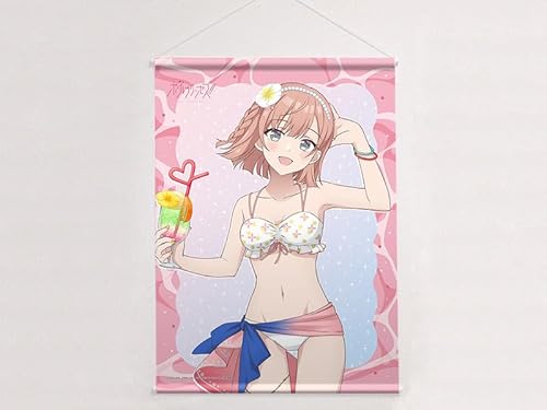 『ポールプリンセス!!』描き下ろしB2タペストリー(星北ヒナノ/水着)Wスエード【グッズ】