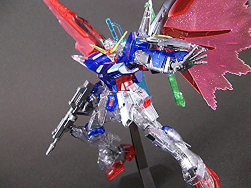 HG 1/144 デスティニーガンダム クリアカラーバージョン(ガンプラEXPO2006)プラモデル