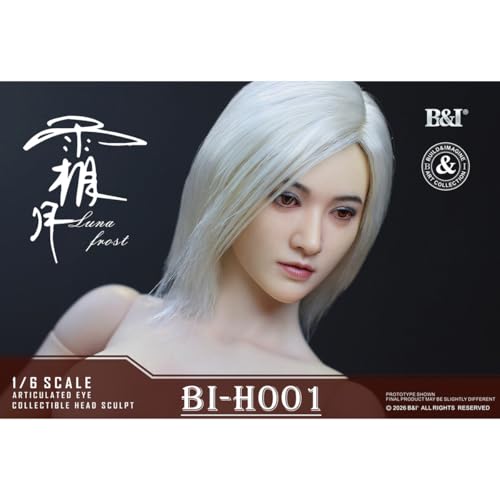 HiPlay B&I 1/6 霜月 ヘッド 冷色肌 BI-H001B ドール用 頭 塗装済み