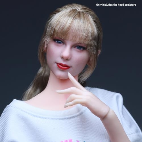HiPlay Z6TOYS 1/6 アジア美人 美美 メイメイ ZC022D 可動眼 ドール用 頭 塗装済み