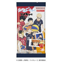 キャラポトレハイキュー!!2（10個入）