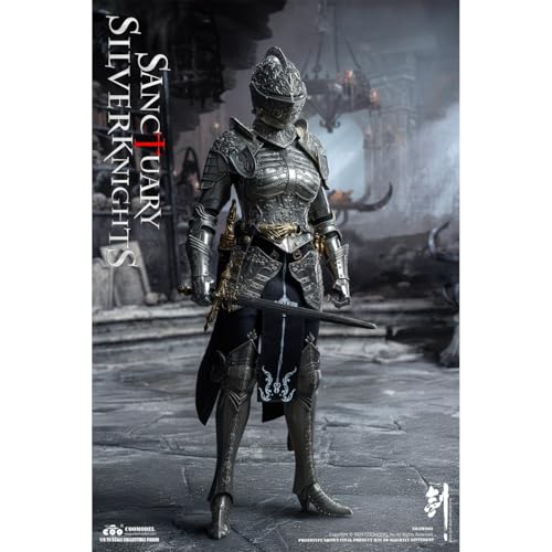 HiPlay COOMODEL 1/6 剣乱風雲 聖殿黄金守衛 白銅版 NO.SW003 可動フィギュア 塗装済み 完成品