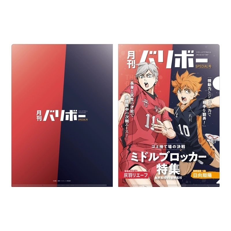 【予約2026年01月】ハイキュー！！ A4クリアファイル 月刊バリボー第2弾 日向翔陽・灰羽リエーフ 東宝