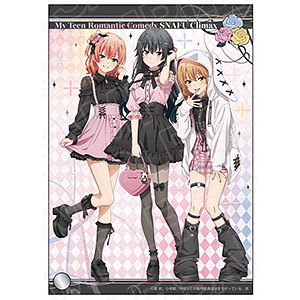 TVアニメ「やはり俺の青春ラブコメはまちがっている。完」 ミニアクリルアート サブカルファッション ver.