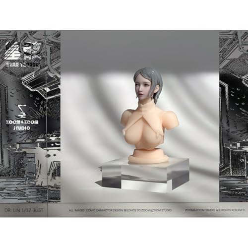HiPlay Zoom&Zoom studio 1/12 DR.LIN バストモデル ZZLB-01 塗装済み完成品フィギュア