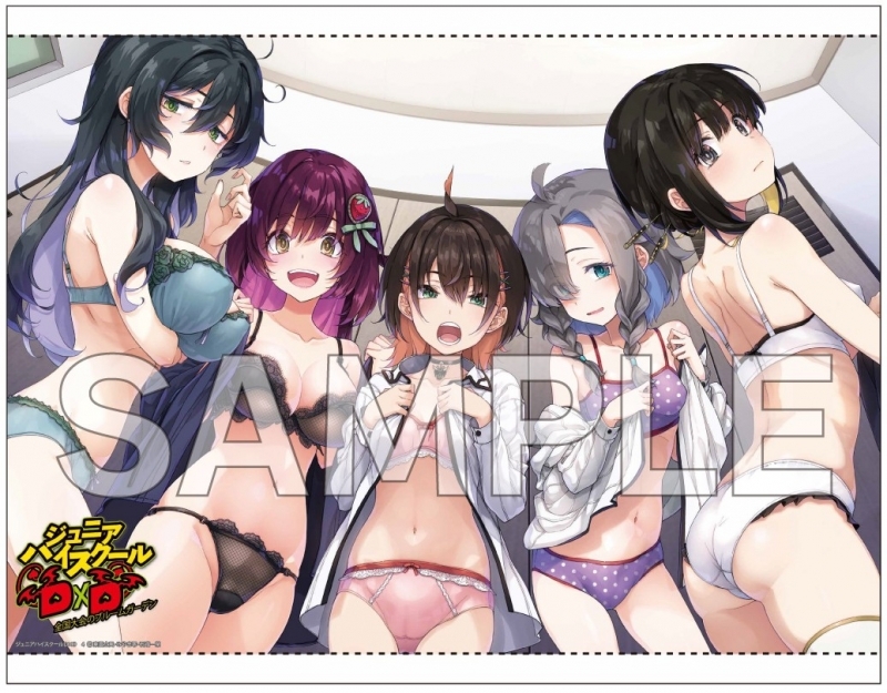 ジュニアハイスクールD×D(4) 全国大会のブルームガーデン ゲーマーズ限定版【オリジナルB2タペストリー付】
