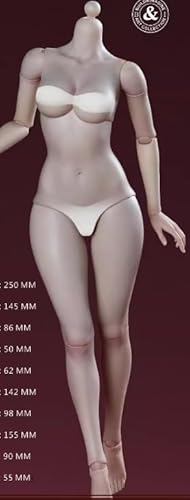 [AC]B&I BI-F001 & BI-H001 1/6 女性素体＆霜月可動眼ヘッド フルセット版 Bタイプ 月瓷肌 可動 アクションフィギュア 素体