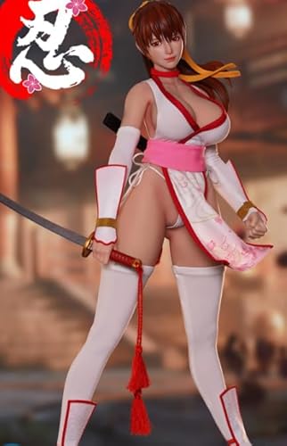 [AC]SUPER DUCK 1/6 女忍者 SET094B 可動 アクションフィギュア ヘット 素体 衣装 アクセサリー フルセット